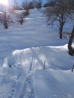 Arslanbob. Photo: V.Savin